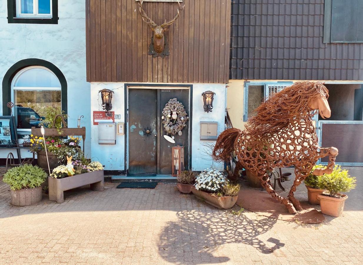 Hof Vierzehnender Im Hohen Venn - 70Qm Maisonette - 2 Schlafzimmer - Wohnkueche - Balkon Mit Grill - Monschau - Eifel - Hunde Willkommen - Islandpferde Exteriör bild