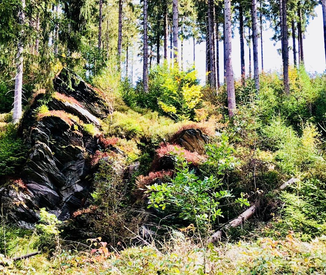 Hof Vierzehnender Im Hohen Venn - 70Qm Maisonette - 2 Schlafzimmer - Wohnkueche - Balkon Mit Grill - Monschau - Eifel - Hunde Willkommen - Islandpferde Exteriör bild