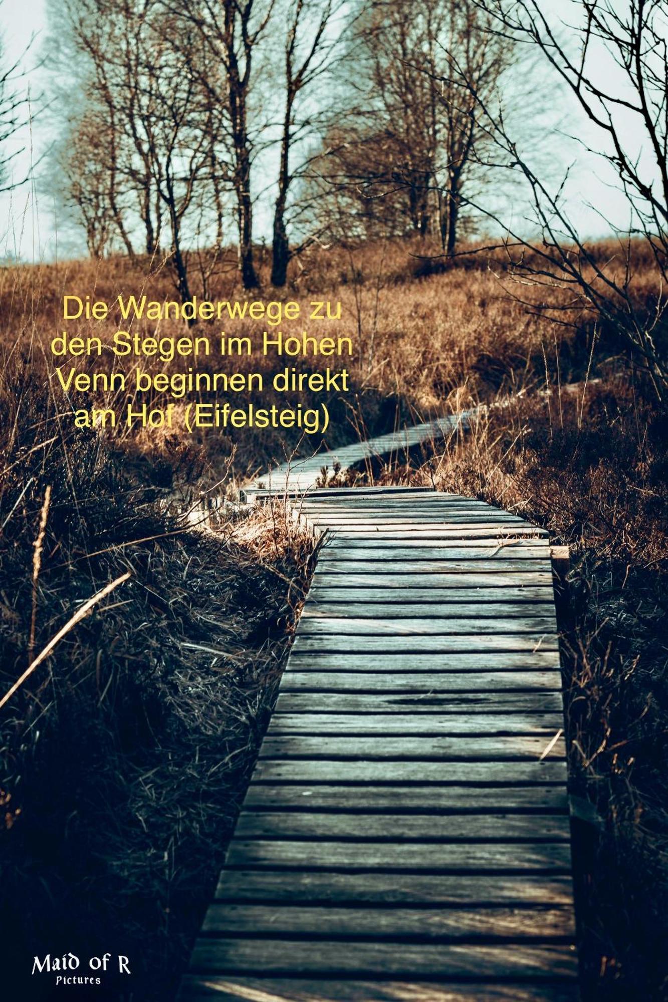 Hof Vierzehnender Im Hohen Venn - 70Qm Maisonette - 2 Schlafzimmer - Wohnkueche - Balkon Mit Grill - Monschau - Eifel - Hunde Willkommen - Islandpferde Exteriör bild