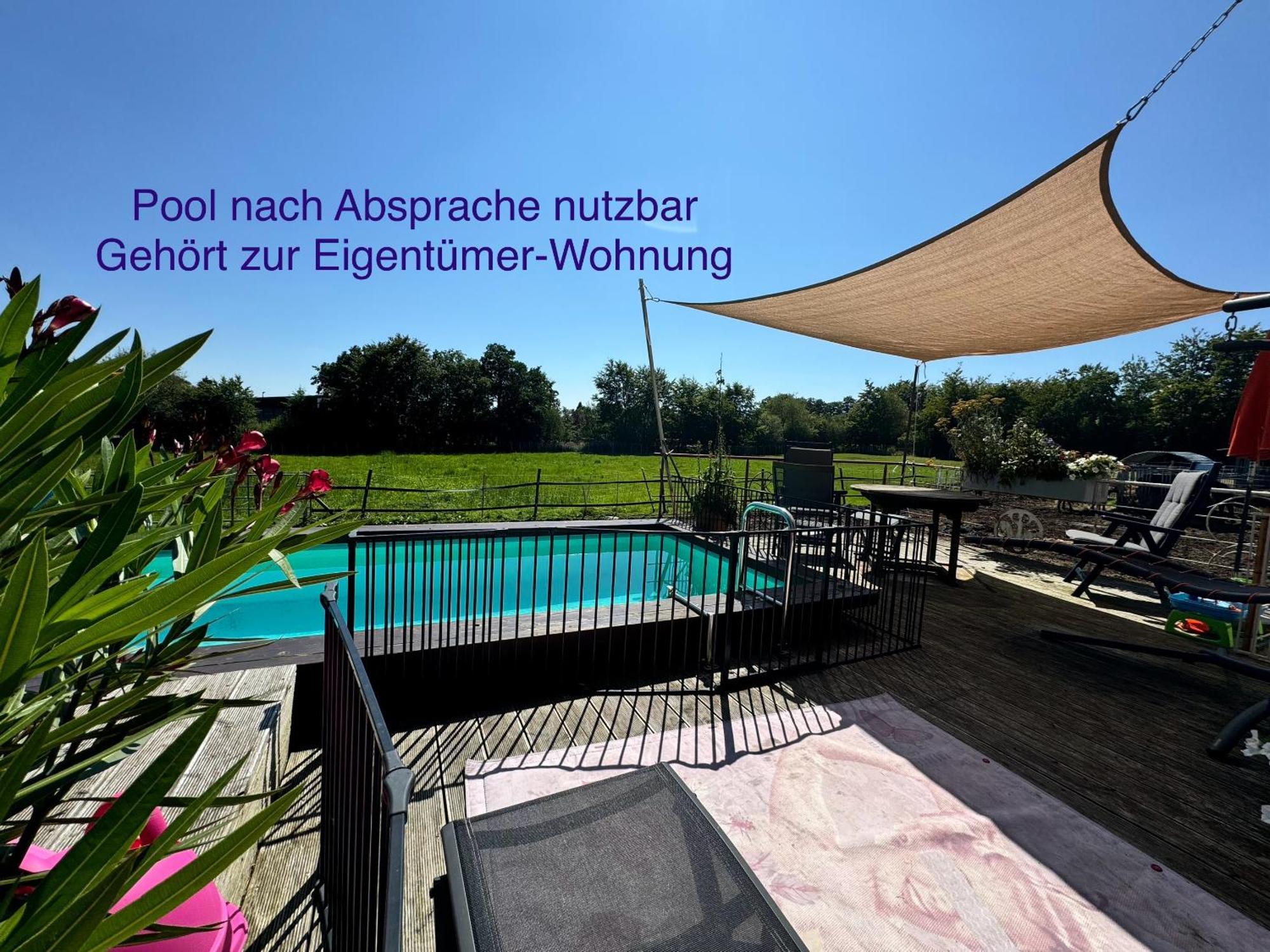 Hof Vierzehnender Im Hohen Venn - 70Qm Maisonette - 2 Schlafzimmer - Wohnkueche - Balkon Mit Grill - Monschau - Eifel - Hunde Willkommen - Islandpferde Exteriör bild
