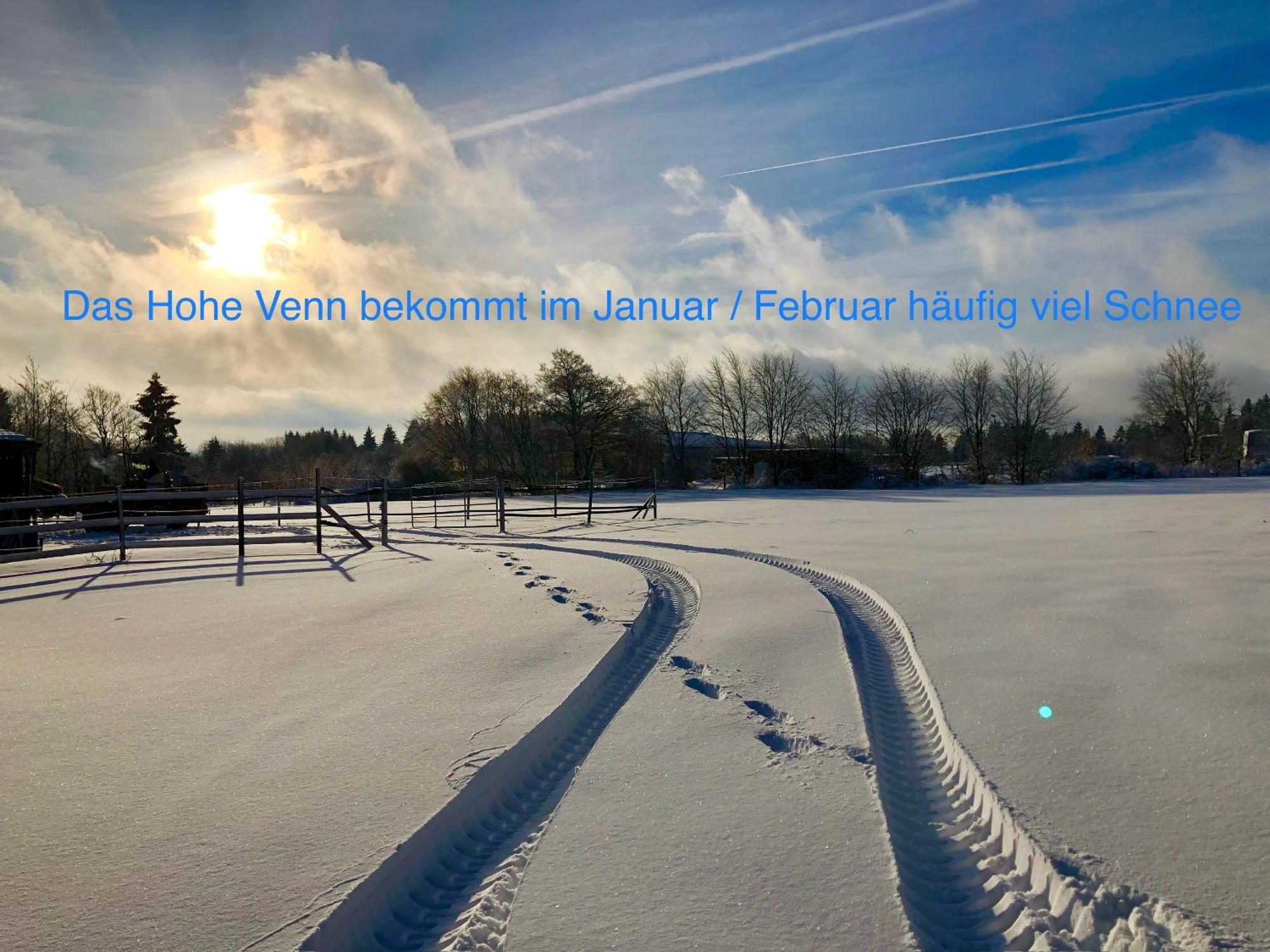 Hof Vierzehnender Im Hohen Venn - 70Qm Maisonette - 2 Schlafzimmer - Wohnkueche - Balkon Mit Grill - Monschau - Eifel - Hunde Willkommen - Islandpferde Exteriör bild